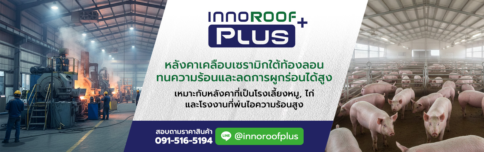 banner-main-07-ceramic-bottom