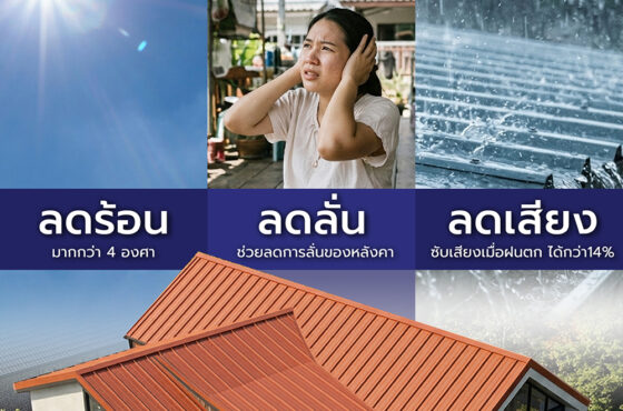 อยากสร้างบ้านใช้หลังคาเมทัลชีท แต่กลัวเสียงดังเวลาฝนตก แก้ยังไงดี?